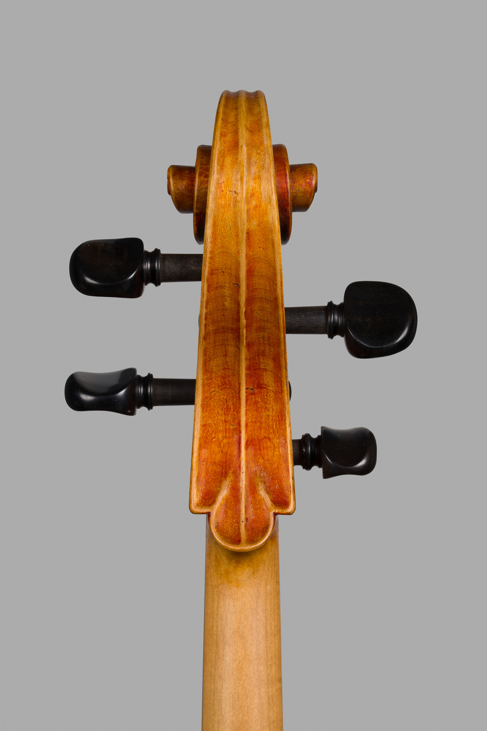 Violoncello Ruggeri 2025, Ansicht Schnecke von hinten