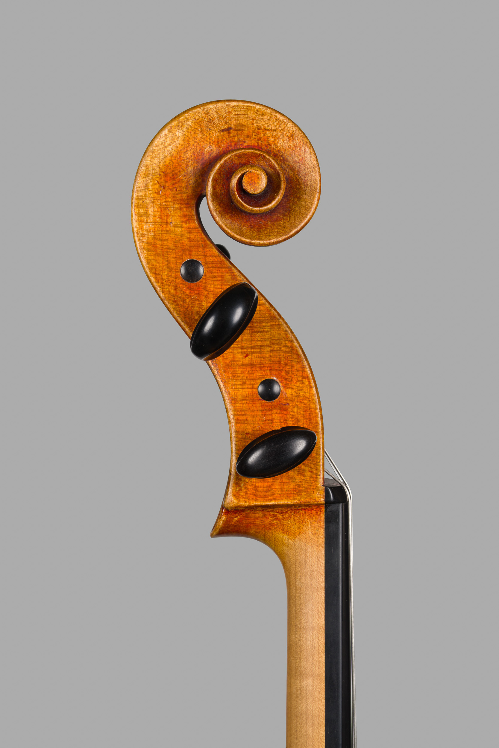 Violoncello Ruggeri 2025, Ansicht Schnecke von der Bassseite