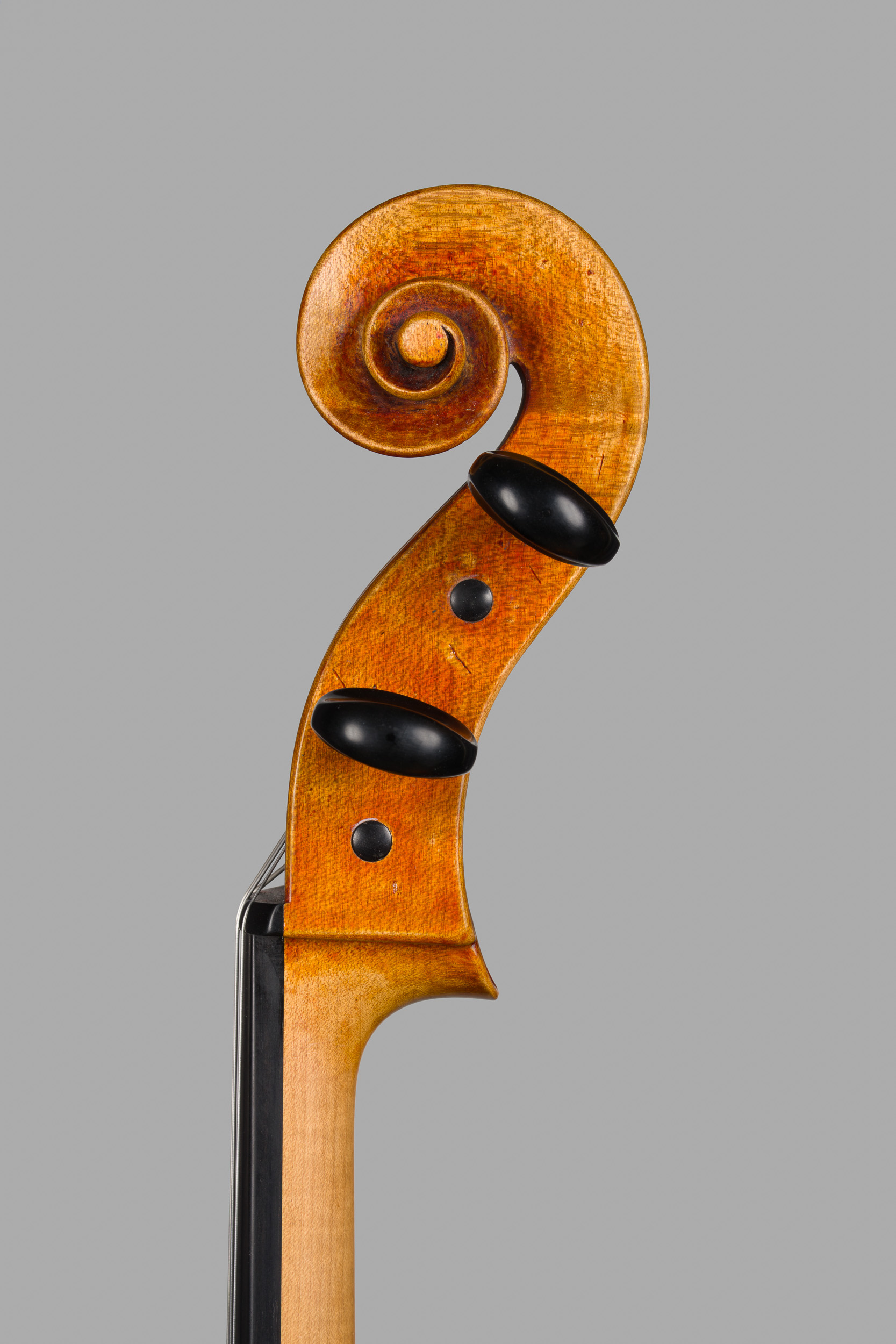 Violoncello Ruggeri 2025, Ansicht Schnecke von der Diskantseite