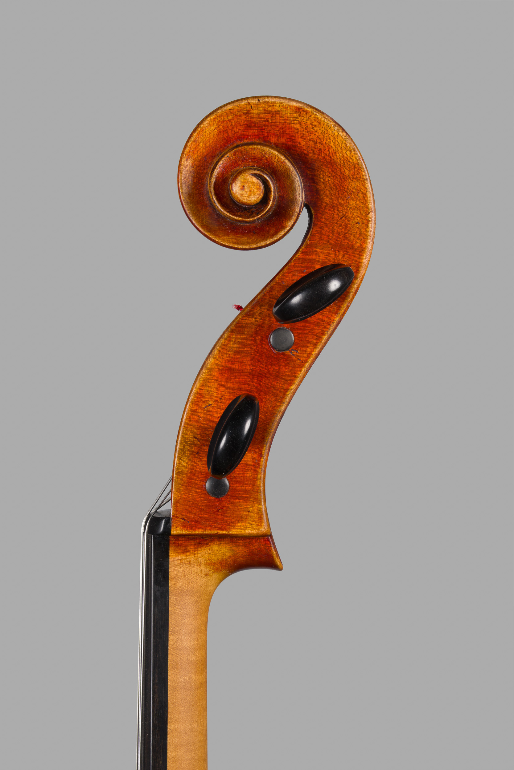 Violoncello Markevitch 2026, Ansicht Schnecke von der Seite
