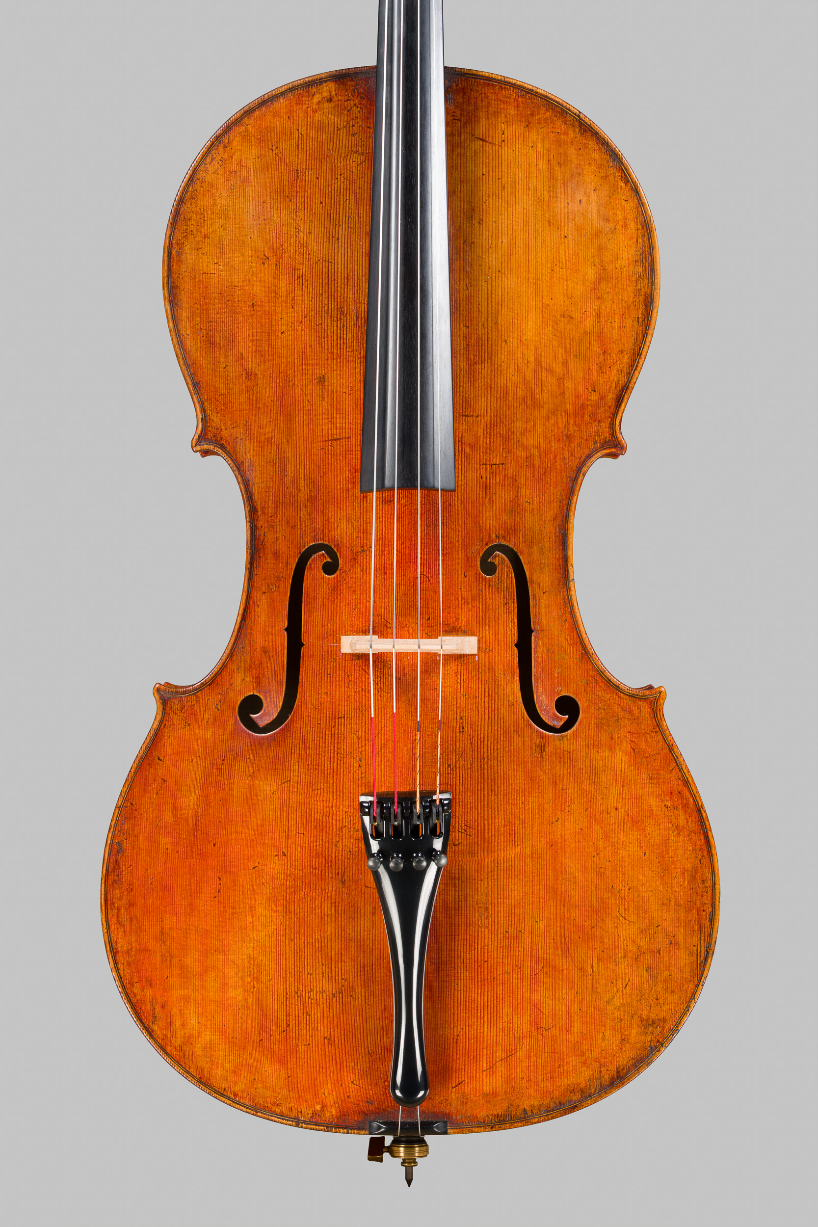 Frontansicht des Violoncellos nach Carlo Ferdinando Landolfi, 2026