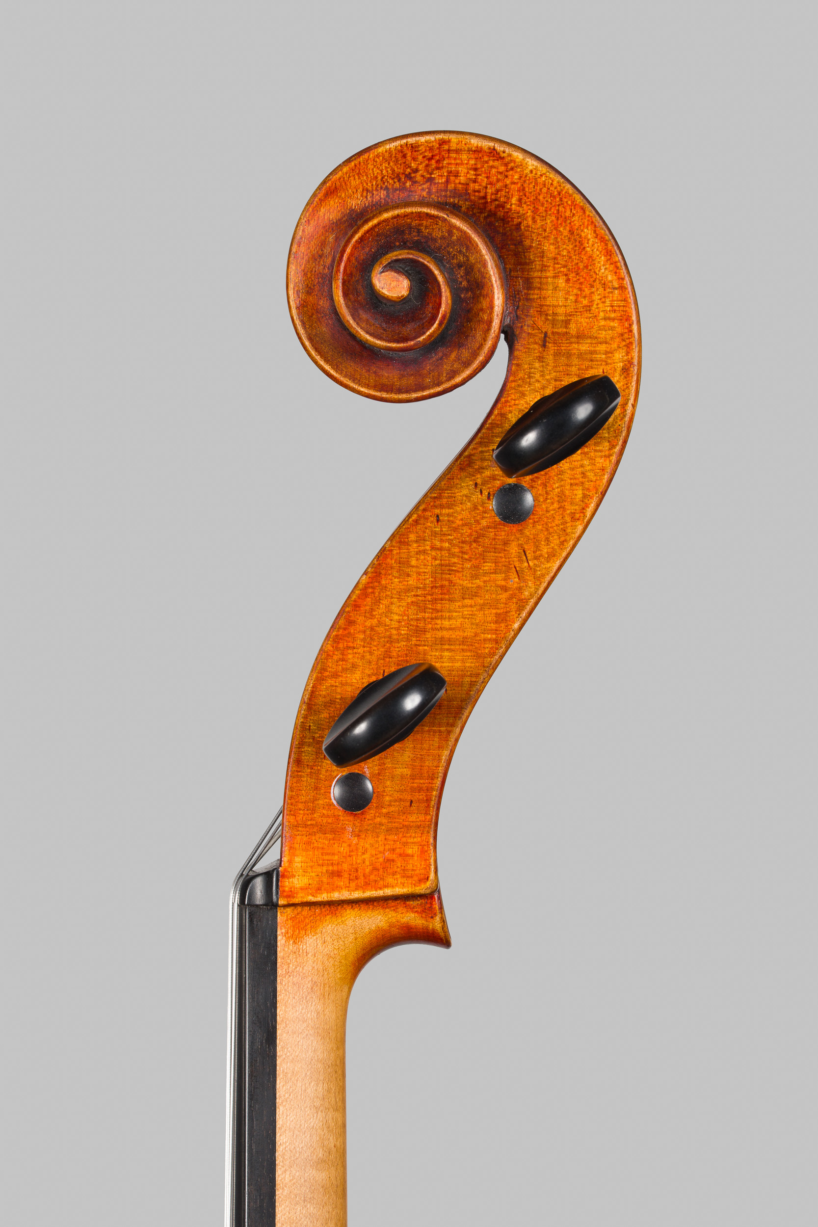 Violoncello Landolfi 2026, Ansicht von der Schnecke von der Diskantseite