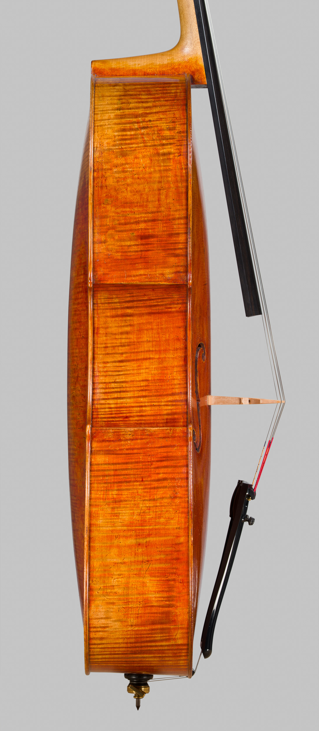 Violoncello Landolfi 2026, Ansicht von der Basseite