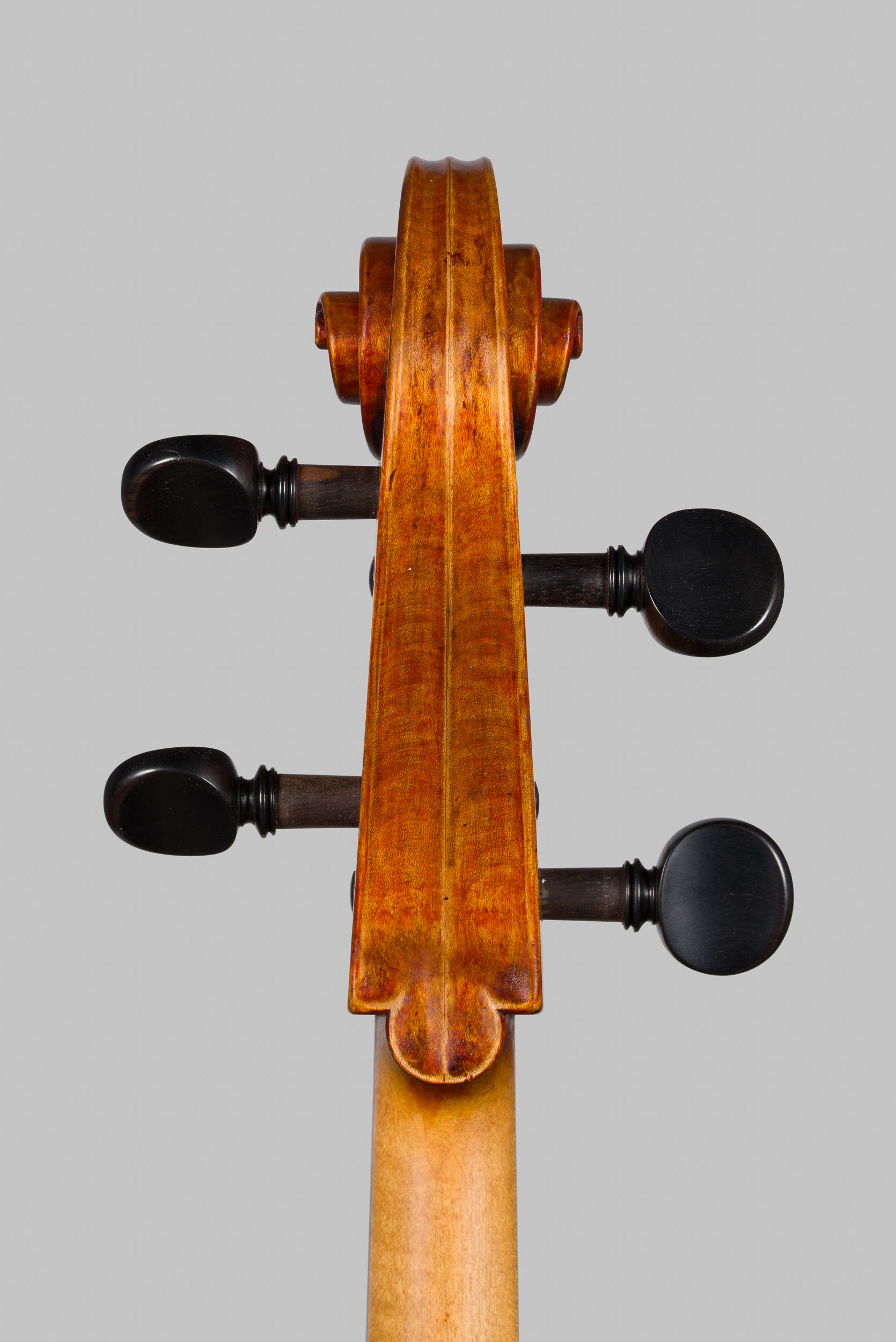 Violoncello Landolfi 2026, Ansicht von der Schnecke von hinten