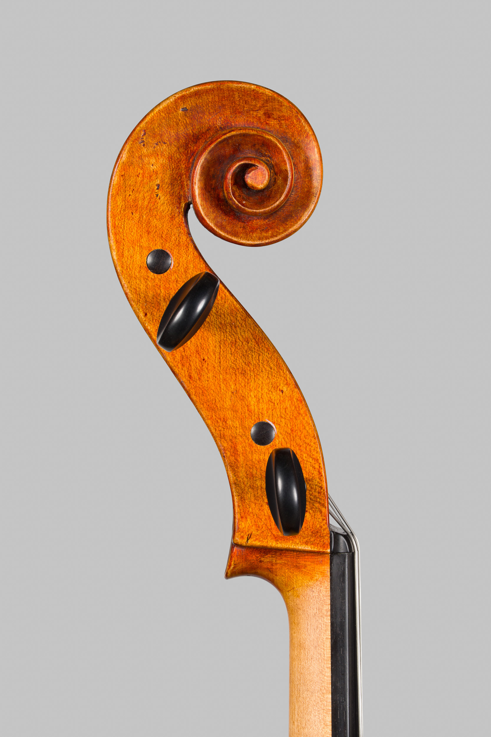 Violoncello Landolfi 2026, Ansicht von der Schnecke von der Basseite