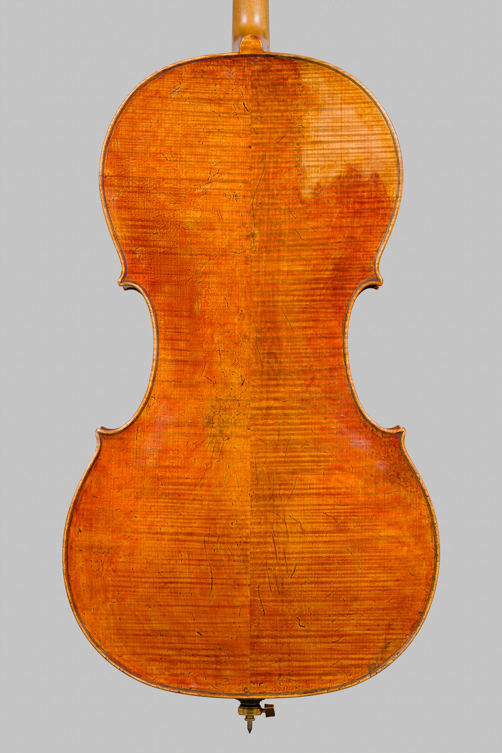Violoncello Landolfi 2026, Ansicht von hinten