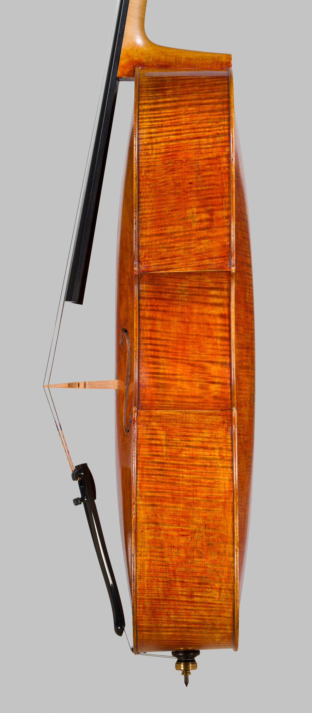 Violoncello Landolfi 2026, Ansicht von der Diskantseite