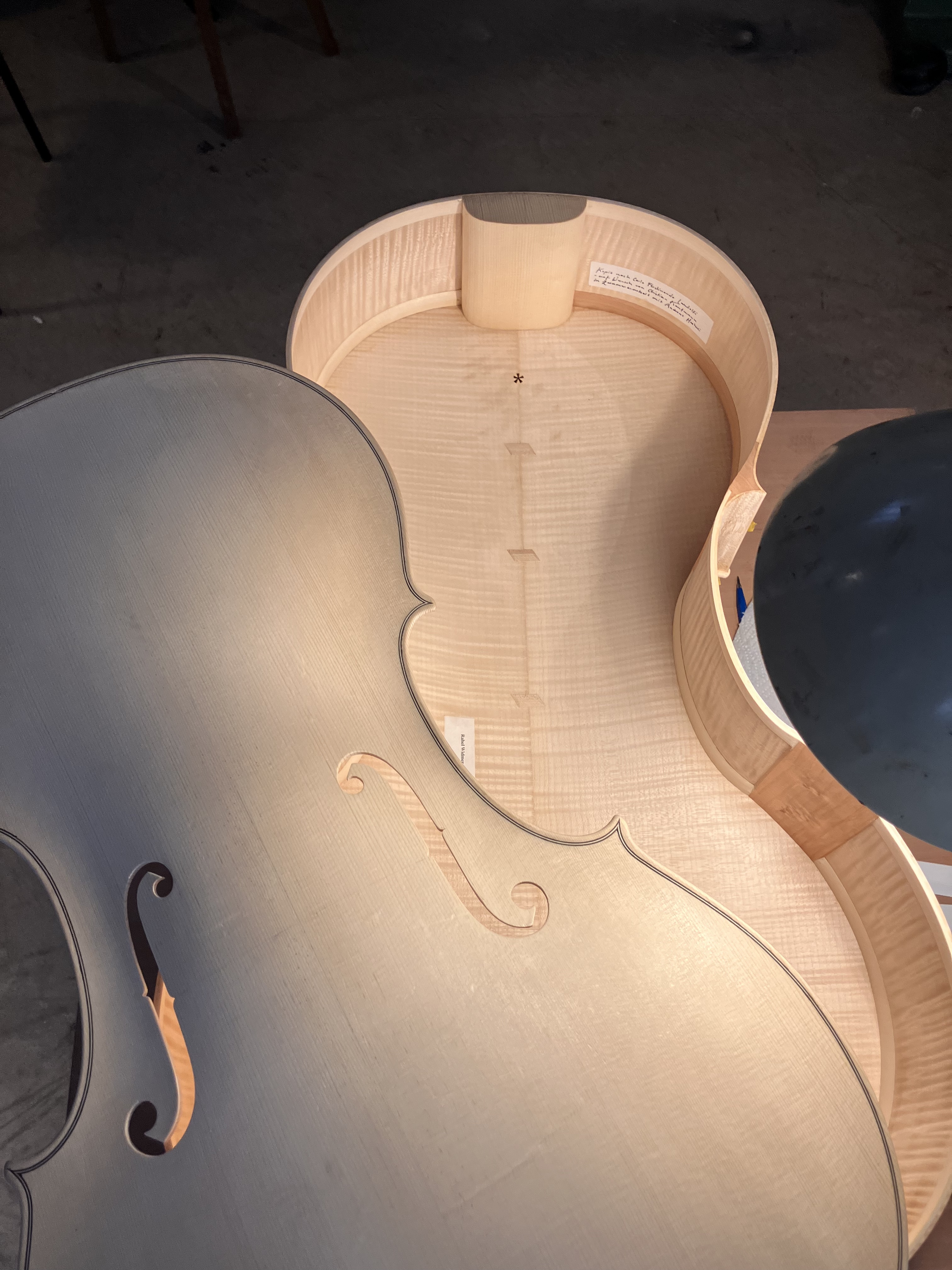 Bauprozess, Cello vor dem Zuleimen, Blick in den Innenraum