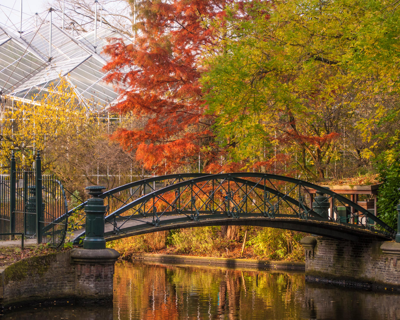 Hortus Botanicus Amsterdam