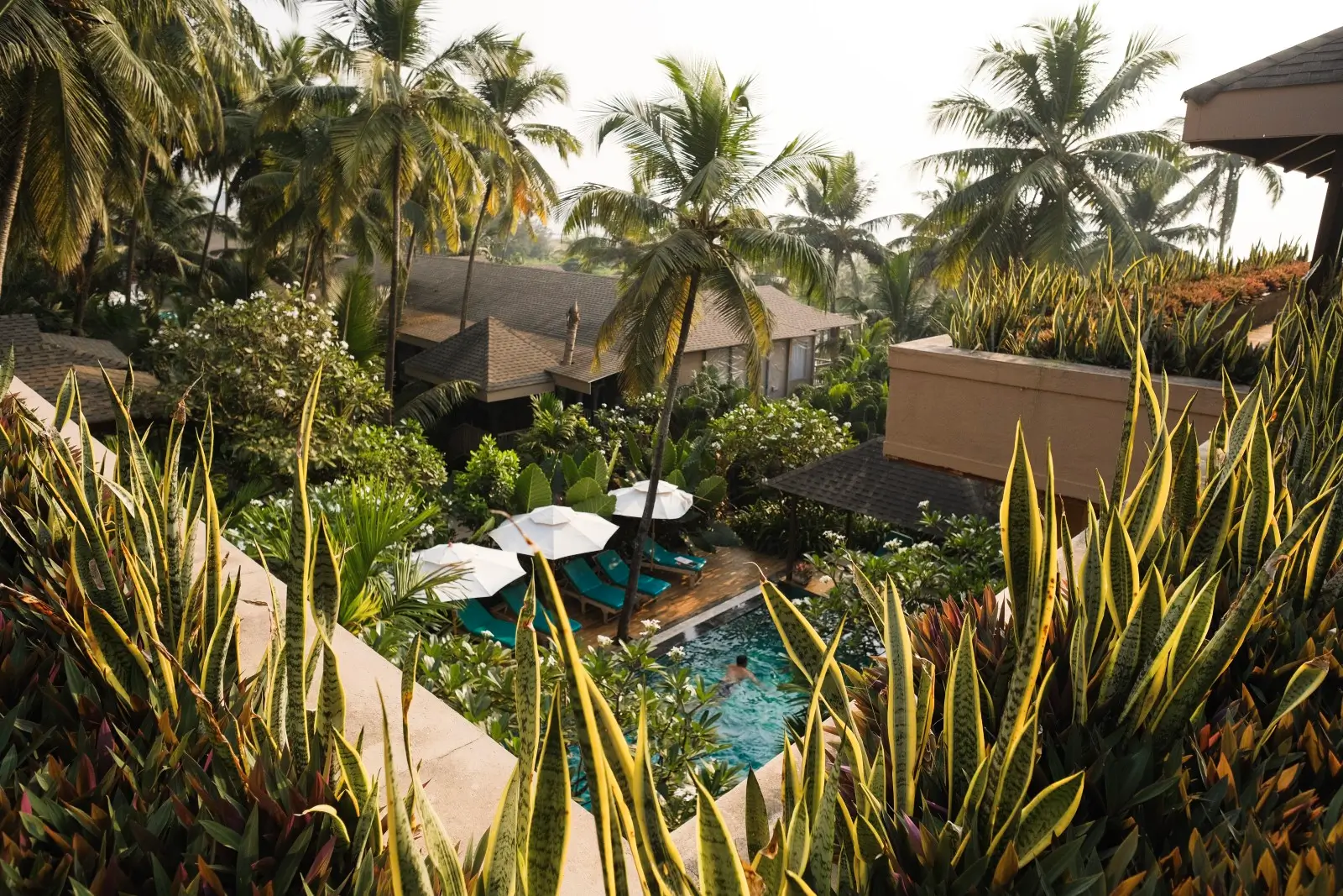 Tropical resort garden with palms, cottages, and a swimming pool.