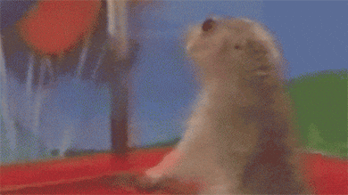 Dramatic prairie dog turning to look at camera