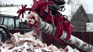 A large red industrial log splitter machine feeds a birch tree trunk through its blades, splitting it into chunks of firewood that fall onto a pile below.