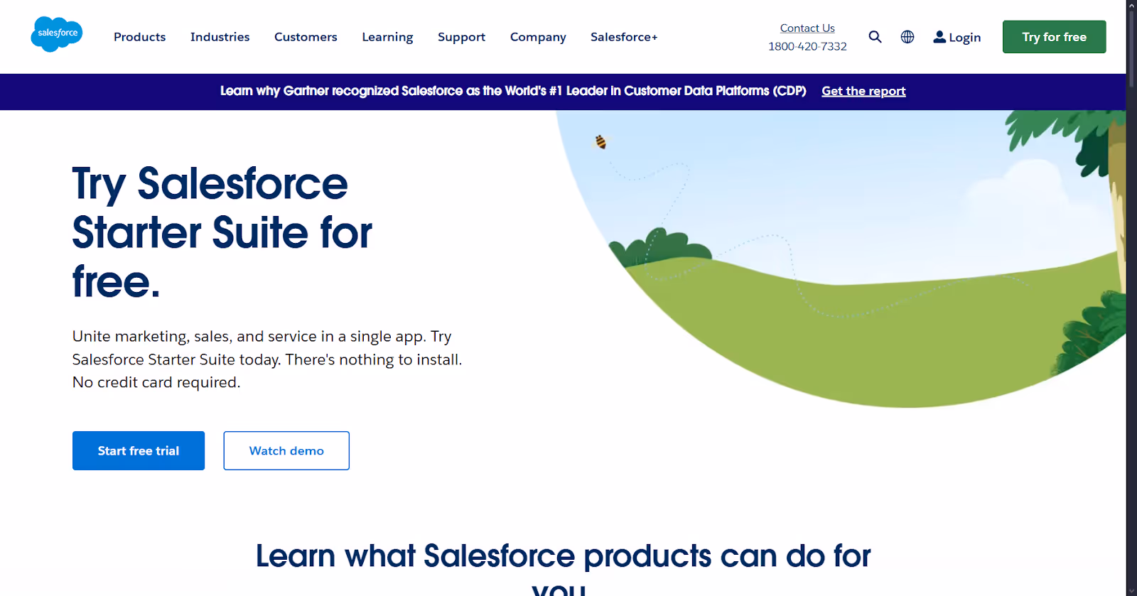 Salesforce Einstein for Insurance