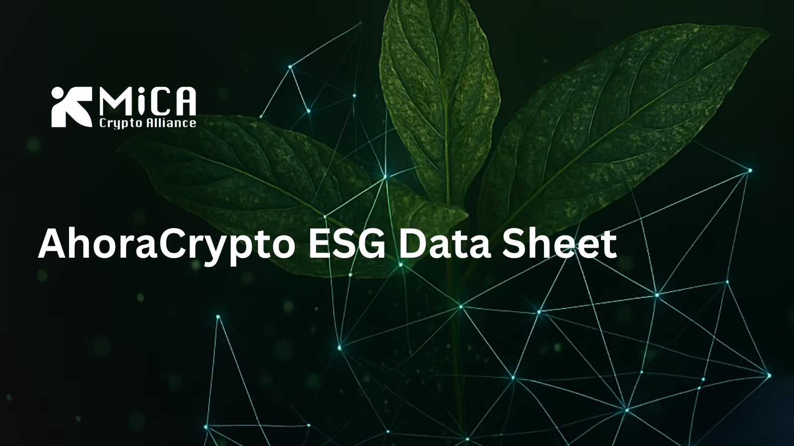 MiCA Crypto Alliance Delivers MiCA Sustainability Data for AhoraCrypto