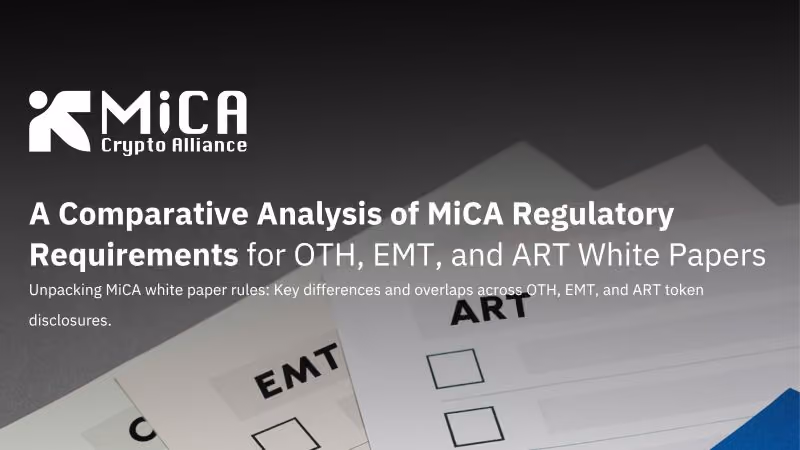 White Paper Disclosure Overlaps and Structural Inconsistencies Report