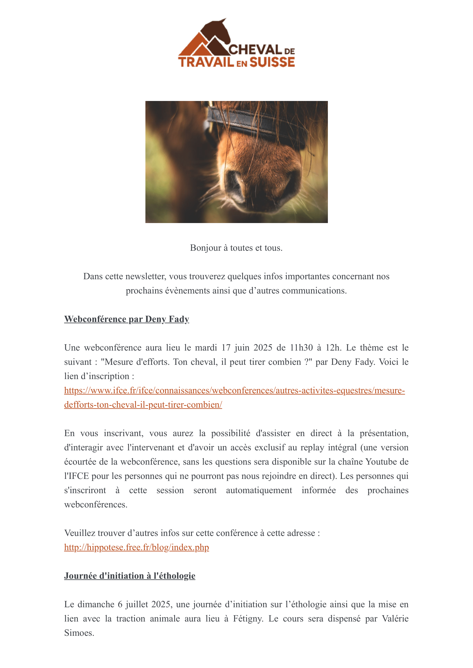 Journée vaudoise d'archéologie
