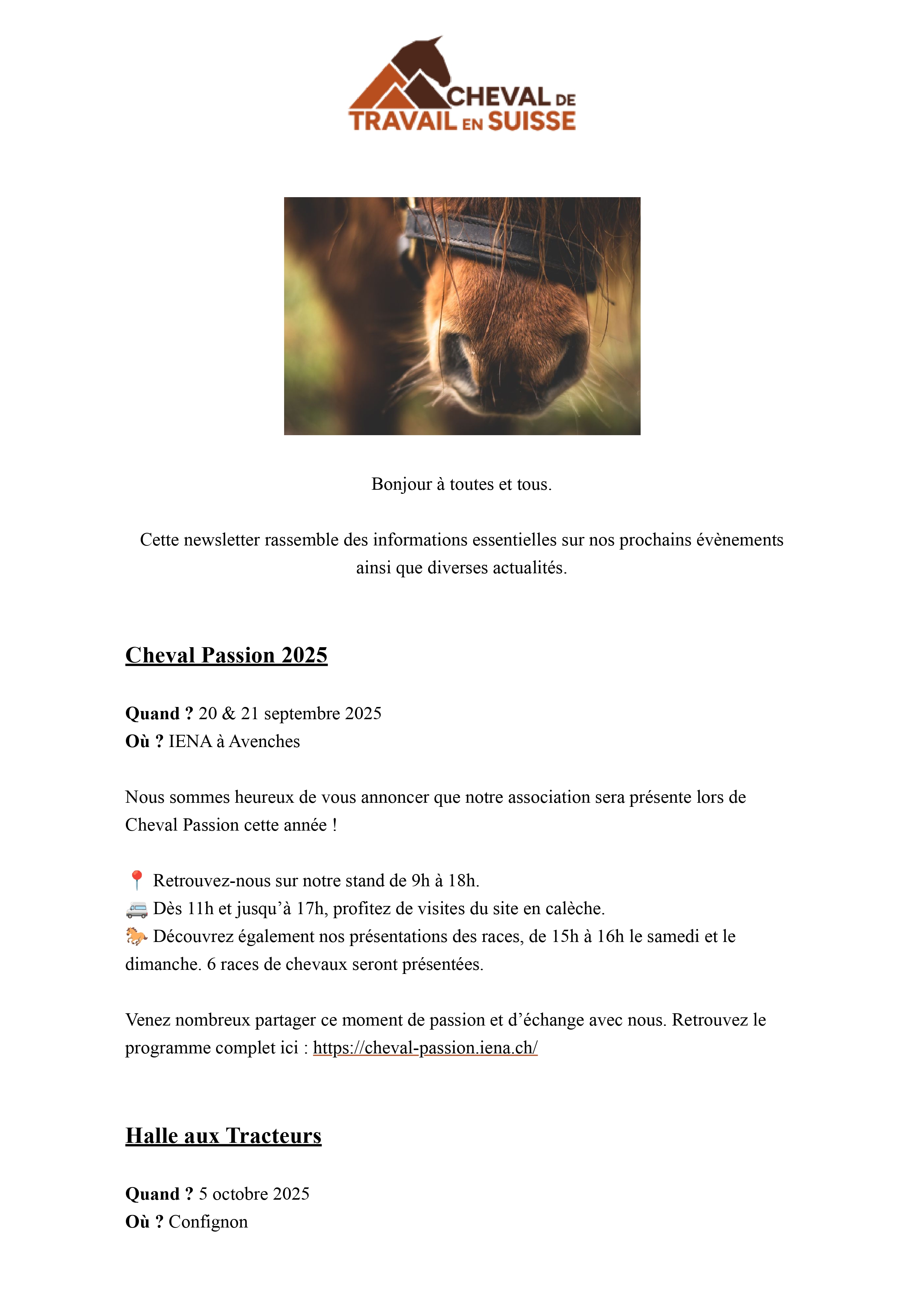 Journée vaudoise d'archéologie