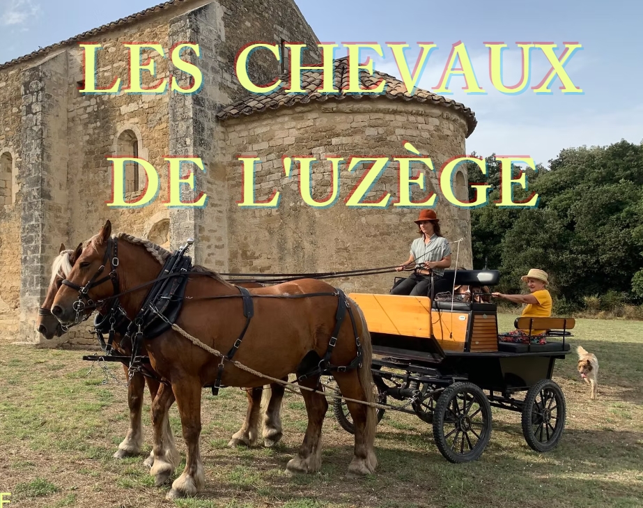 Les chevaux de l'Uzège