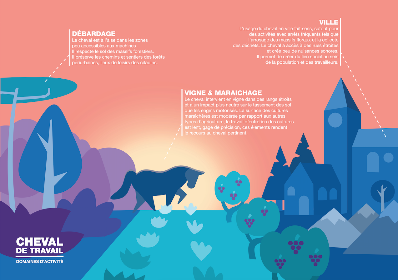 Affiches Traction Animale