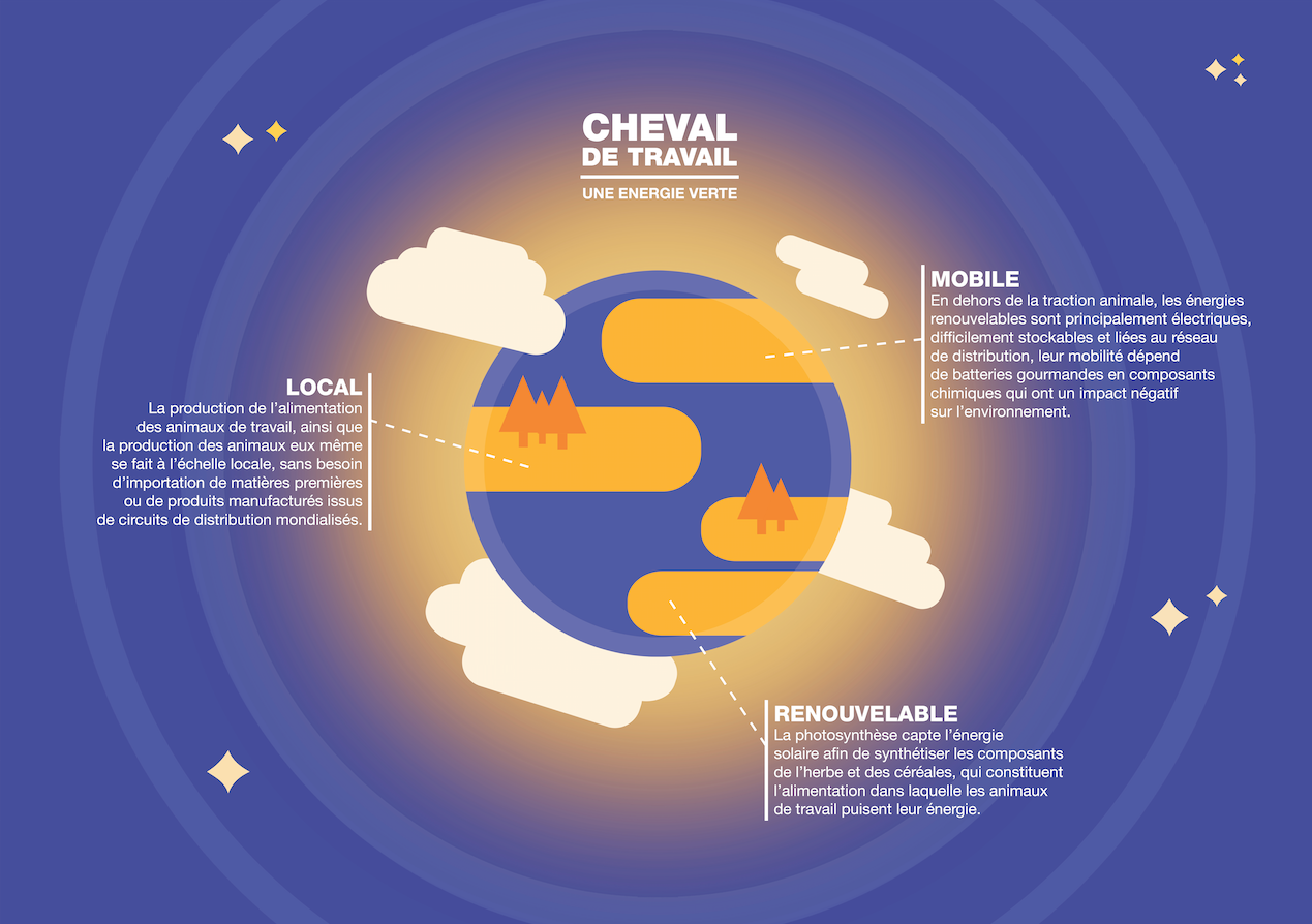 Affiches Traction Animale