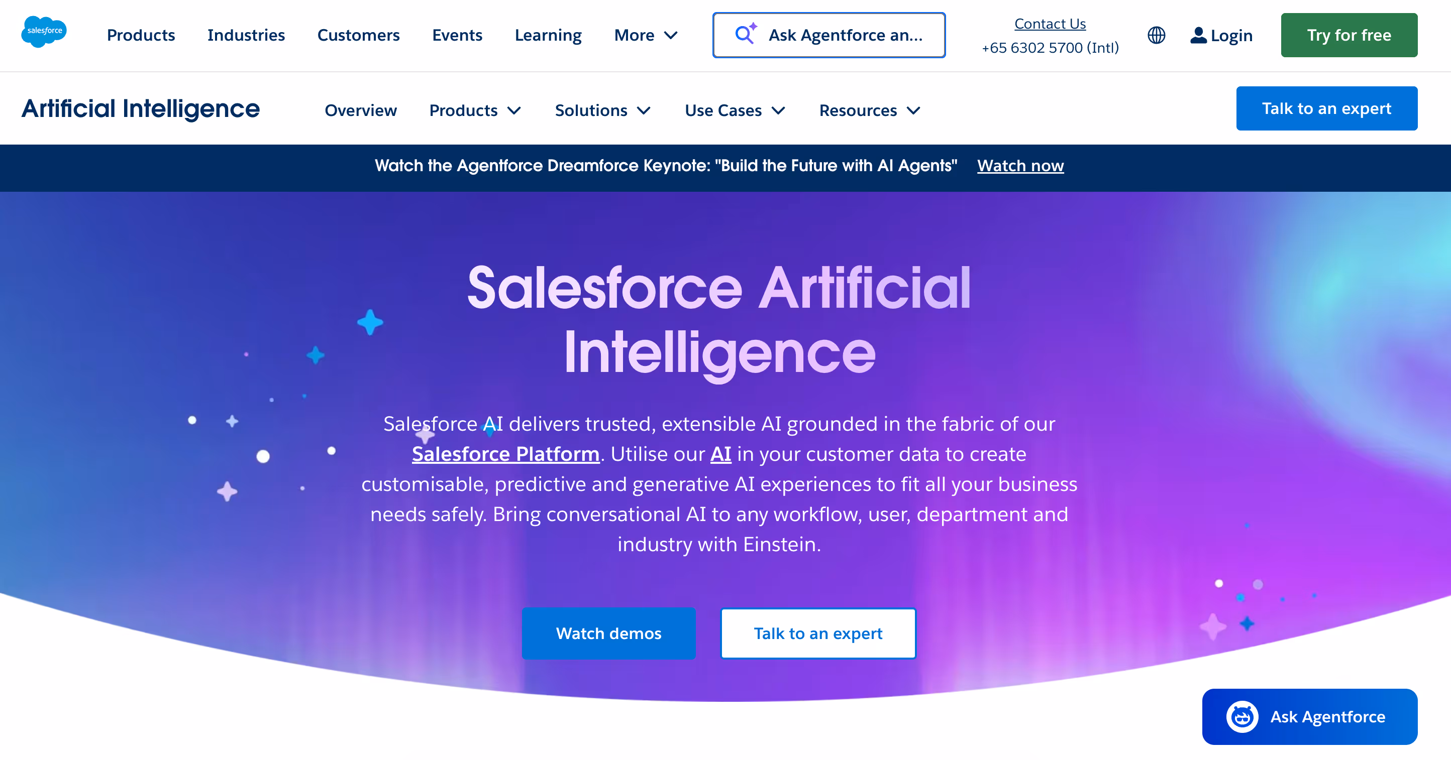 salesforce for automated forecasts and ai insights