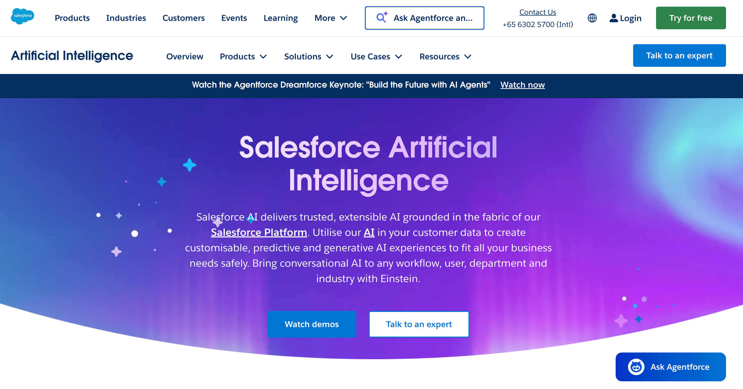 salesforce for automated forecasts and ai insights