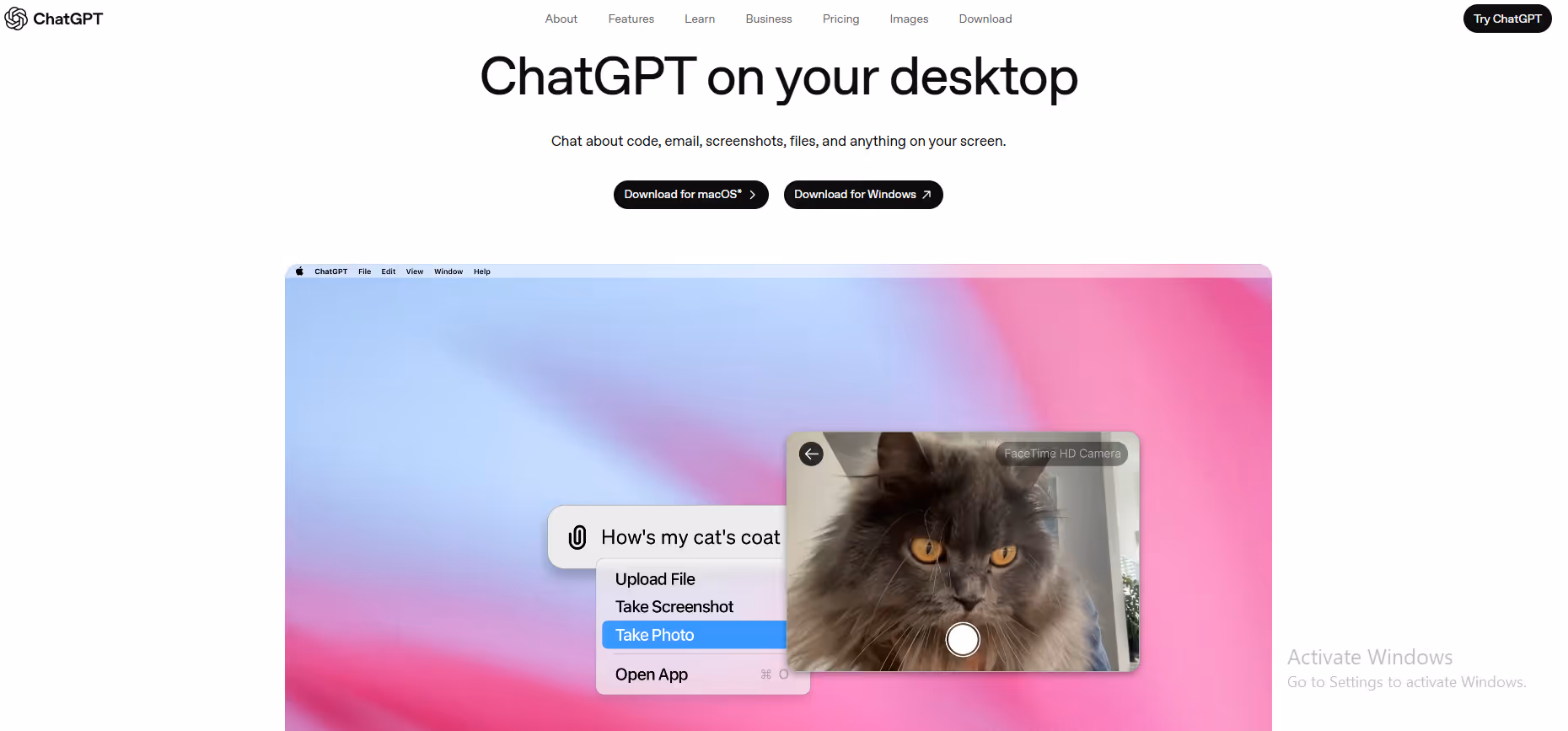 chatgpt computer use interface