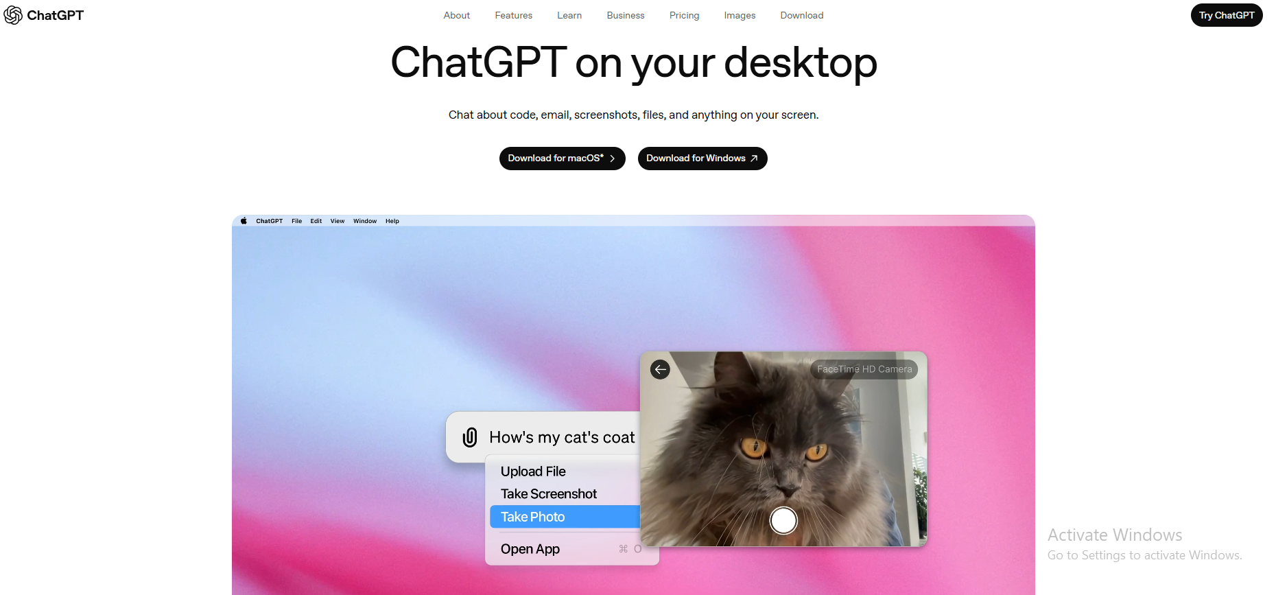 chatgpt computer use interface