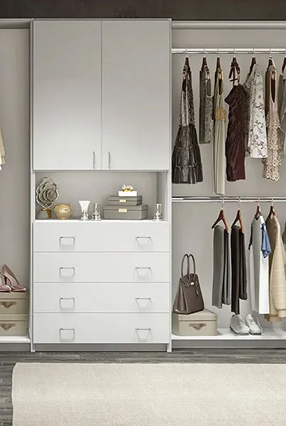 Modern Walk in Closet