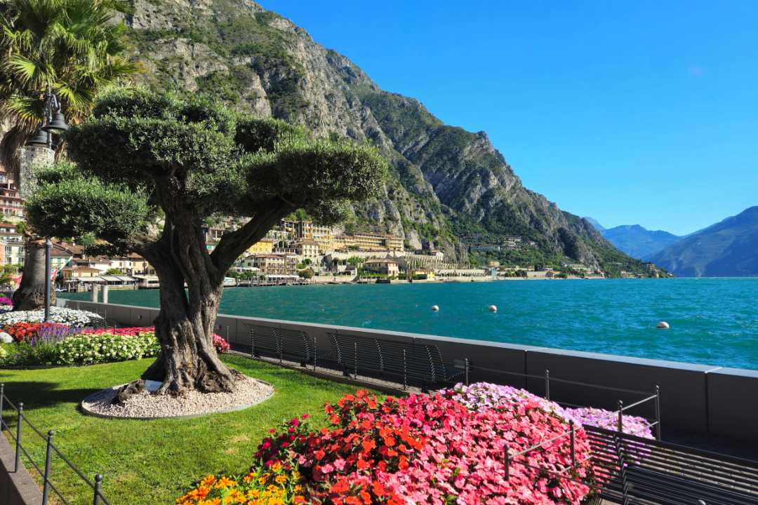 Limone sul Garda med de historiske sitronhagene