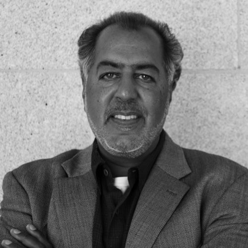 Robin Raj portrait picture