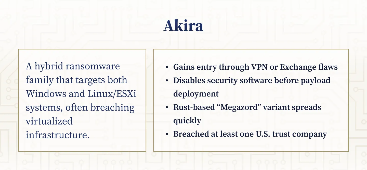 Akira: Multi-Platform Payloads and Virtualization Attacks