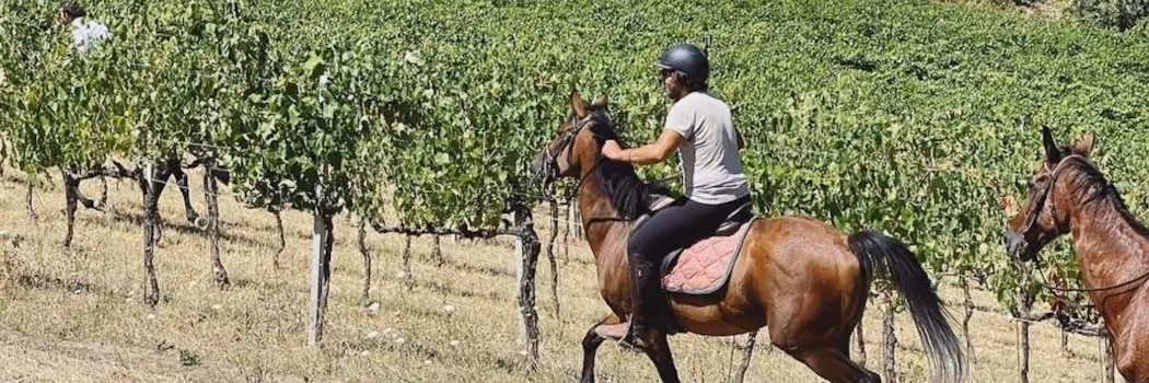 Horse riding in Saragano