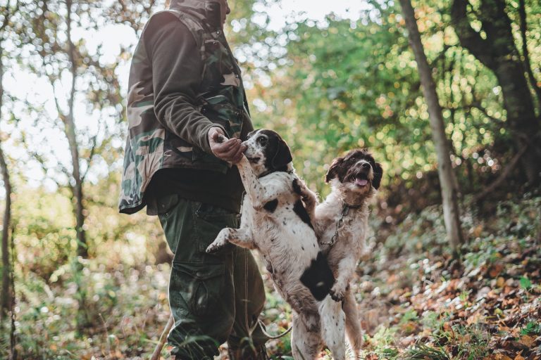 Truffle Hunting with Luca the Truffle Expert