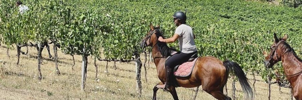 Horse riding in Saragano