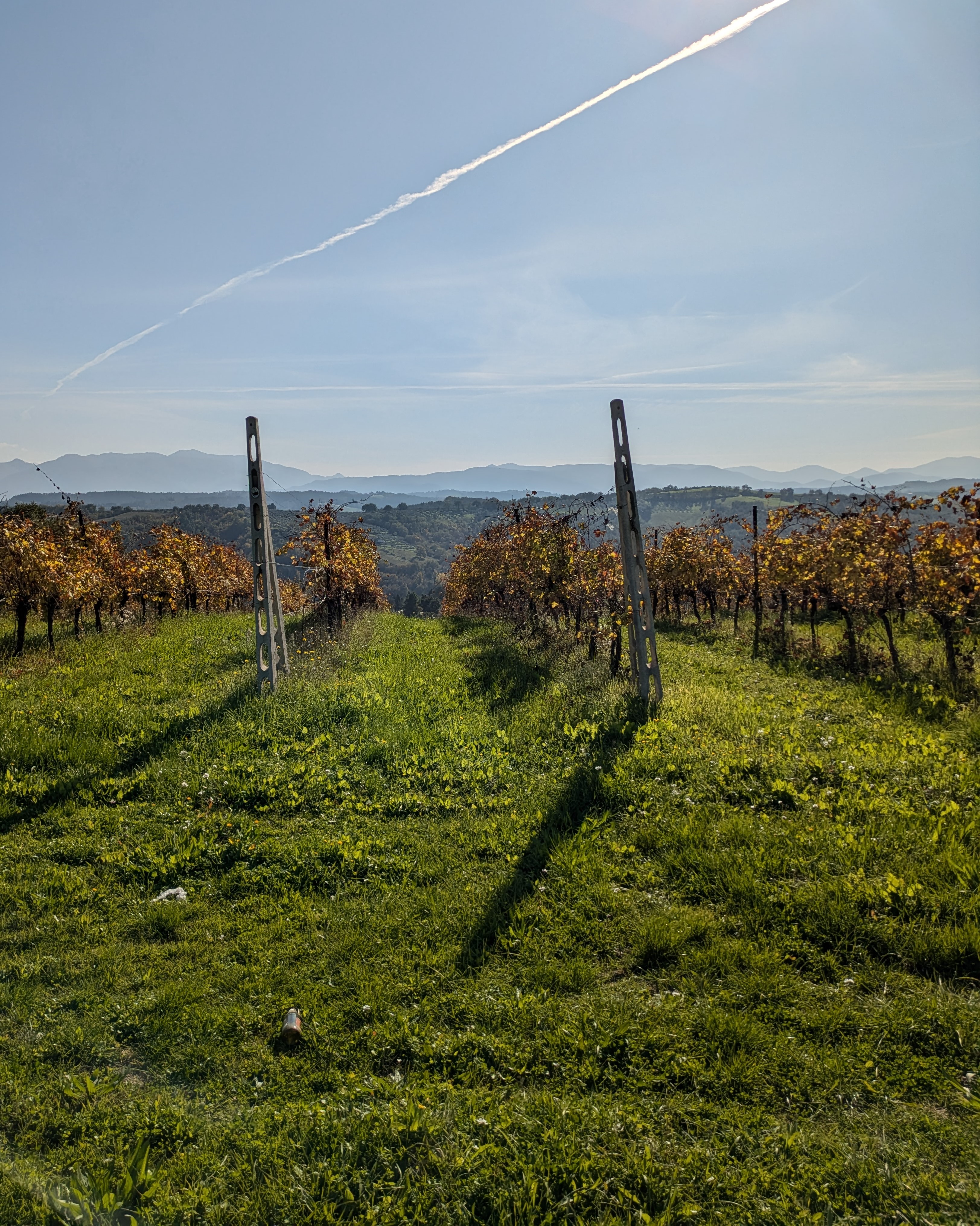 Gravel Cycling Experience with Jef