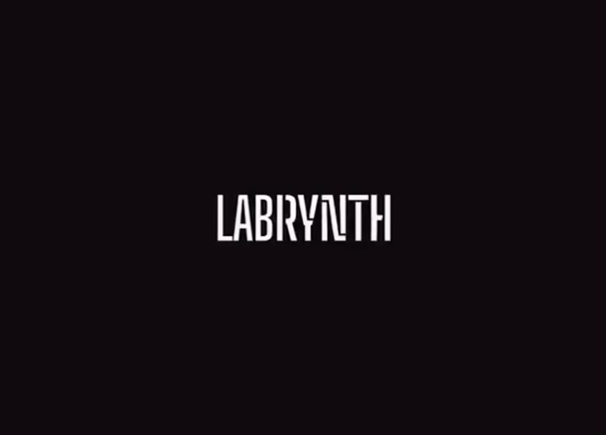 Labyrinth AI Panel