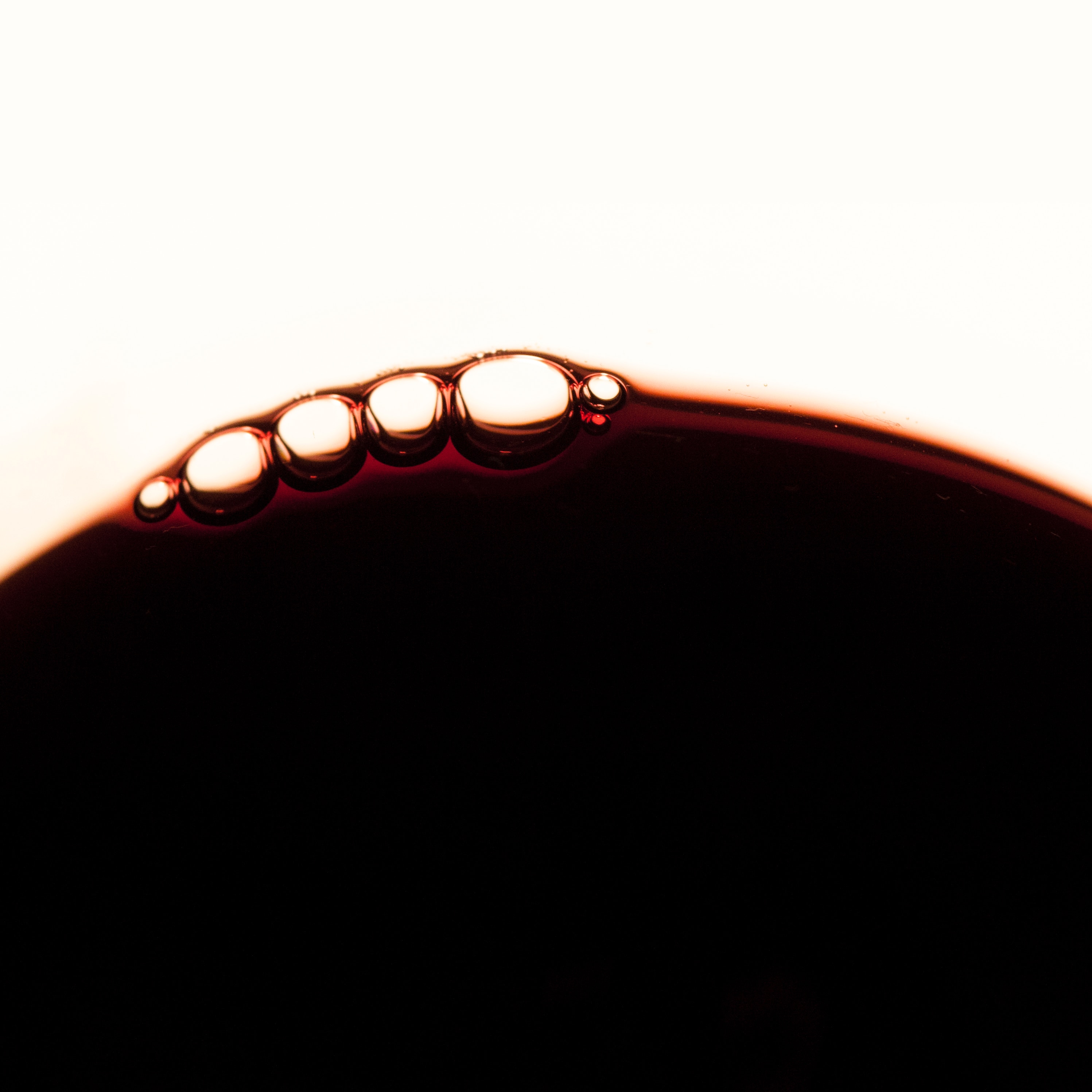 Wine Tasting | Elemento Indigeno