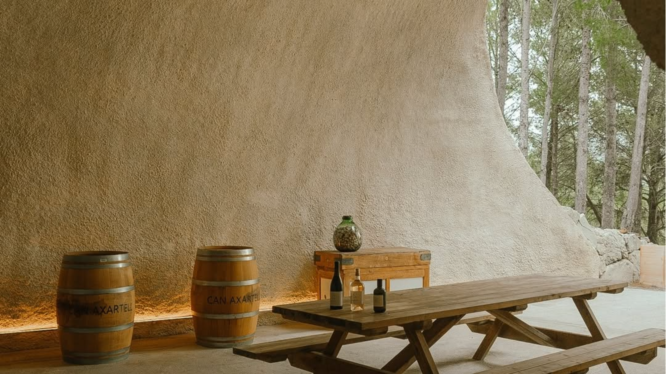 The Art of Wine: An Afternoon at Can Axartell