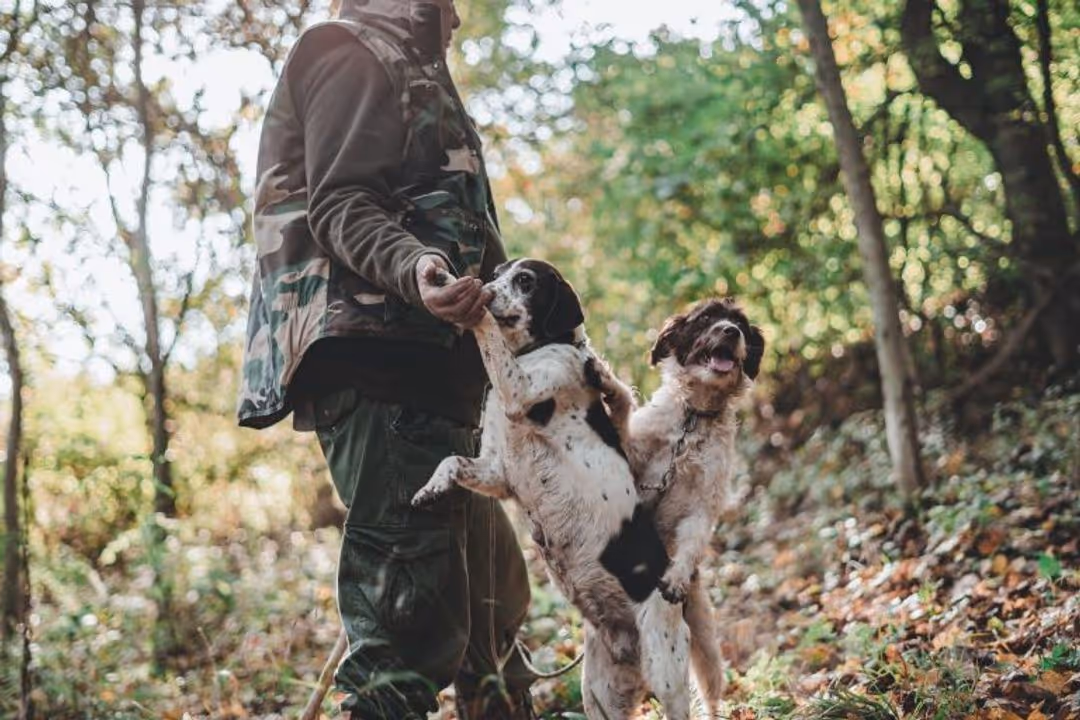 Truffle Hunting with Luca the Truffle Expert