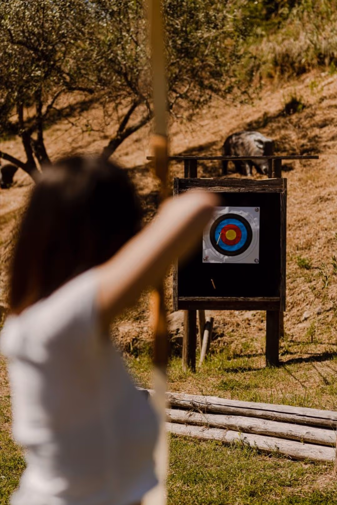 Archery and Fletching