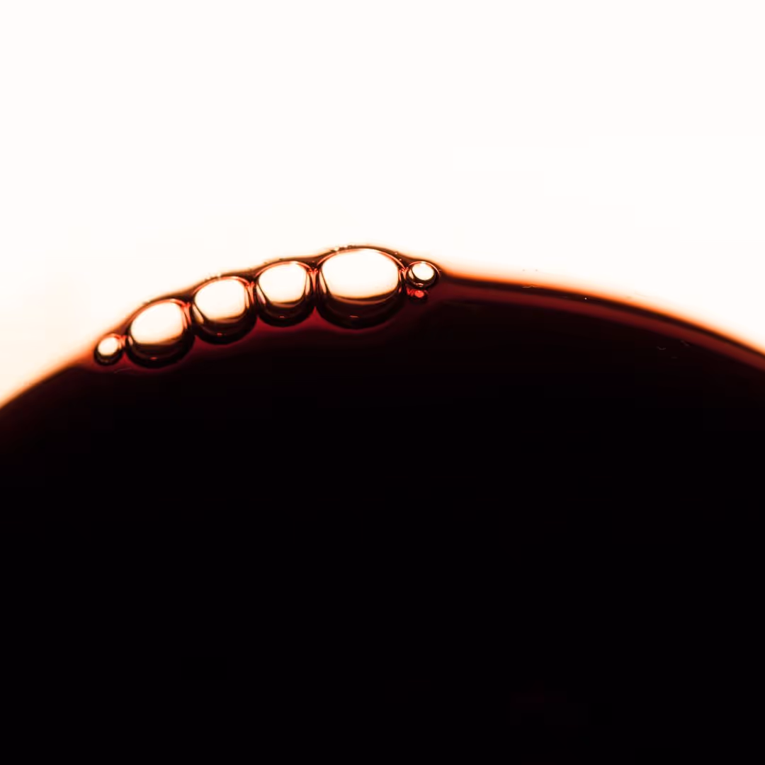 Wine Tasting | Elemento Indigeno