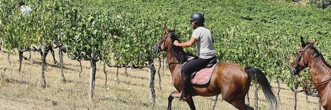 Deluxe Wine Tour with Horse Riding