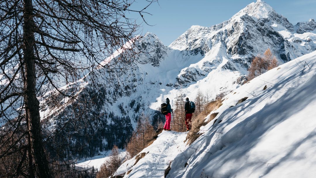 Monterosa Winter Trails on Snowshoes