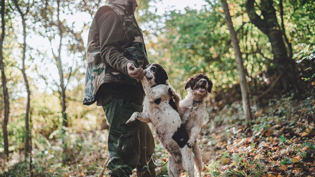 Truffle Hunting with Luca
