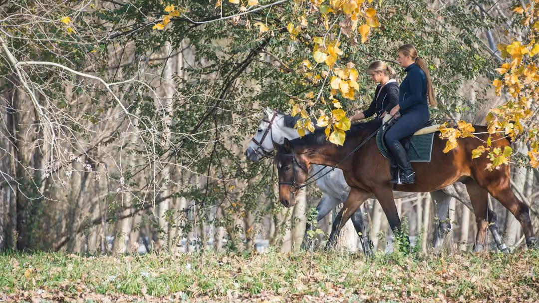Wine Tour with Horse Riding