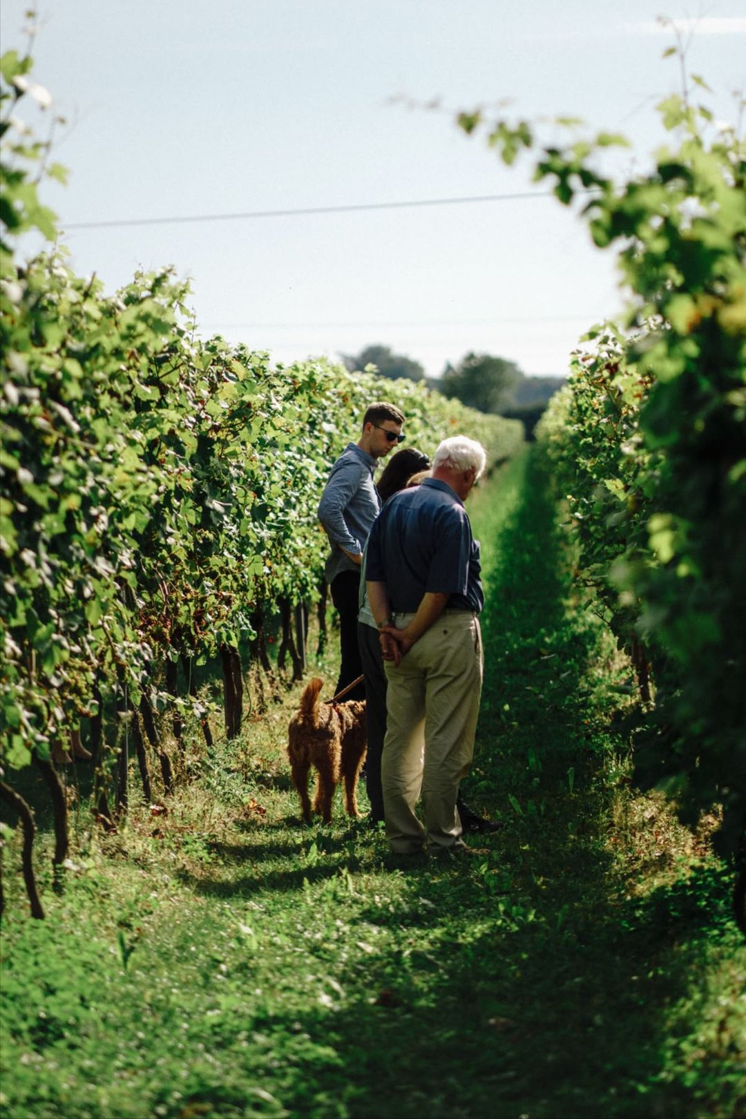 Wine Tasting