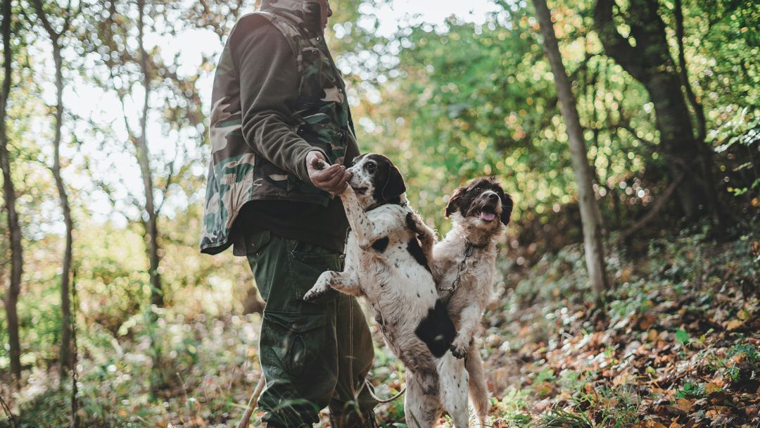 Truffle Hunting with Luca