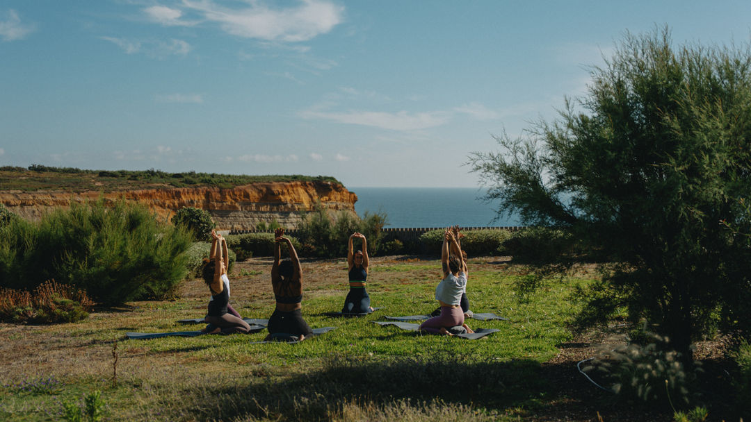 Aimara takeover: Conscious movement & Recovery with Pedro Barbosa