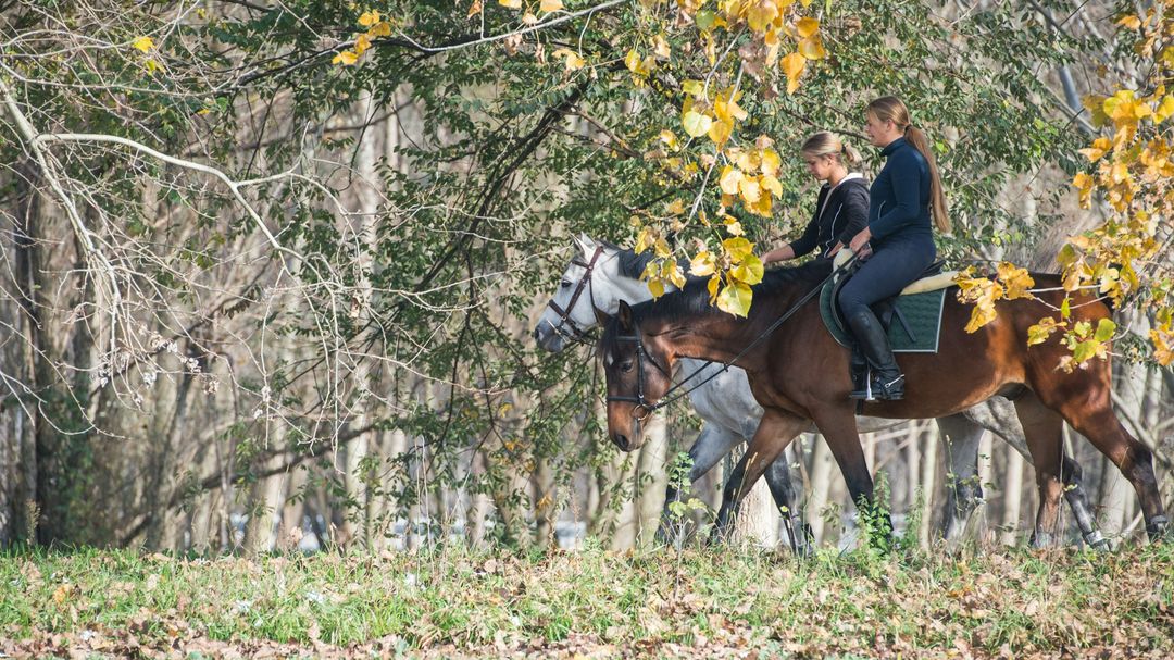 Wine Tour with Horse Riding
